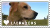 Labrador Love Stamp by cloudrat