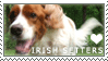 Red + White Irish Setter Stamp