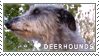 Deerhound Love Stamp