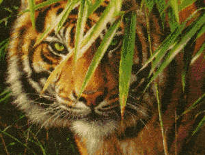 Shere Khan