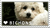 Bichon Frise Love Stamp by cloudrat