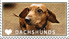 Dachshund Love Stamp by cloudrat