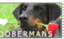 Doberman Love Stamp