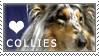 Collie Love Stamp