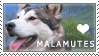 Malamute Love Stamp by cloudrat