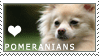 Pomeranian Love Stamp by cloudrat
