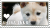 Shiba Inu Love Stamp by cloudrat