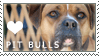 Pit Bull Love Stamp by cloudrat