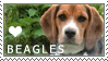 Beagle Love Stamp by cloudrat