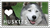 Husky Love Stamp