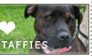 Staffie Love Stamp