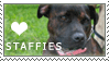 Staffie Love Stamp by cloudrat