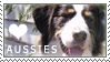 Australian Shepherd Love Stamp by cloudrat