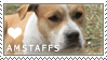 American Staffordshire Stamp