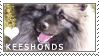 Keeshond Smile Dog Love Stamp by cloudrat