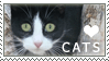 Cat Love Stamp