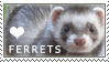 Ferret Love Stamp