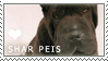 Shar Pei Love Stamp