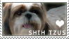 Shih Tzu Love Stamp by cloudrat