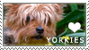 Yorkshire Terrier Love Stamp by cloudrat