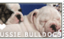 Aussie Bulldog Love Stamp