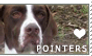 Pointer Love Stamp