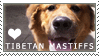 Tibetan Mastiff Love Stamp by cloudrat