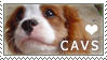 Cavalier King Charles Stamp by cloudrat