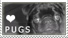 Pug Love Stamp