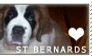Saint Bernard Love Stamp