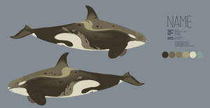 (CLOSED) Orca character design