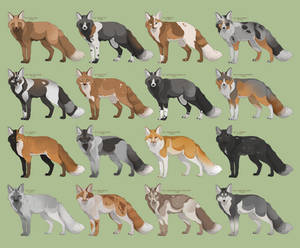 (CLOSED) Red fox adoptables