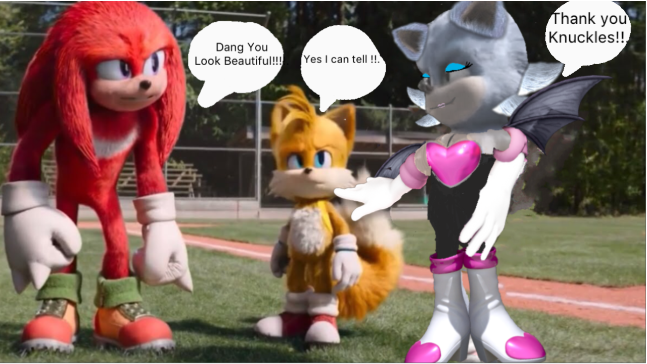 This Is Rouge The Bat Talking To Knuckles Tails by LiamHnath on DeviantArt