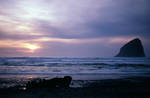 Oregon Coast by DocMallard