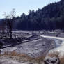 Mt St. Helens Devastation.