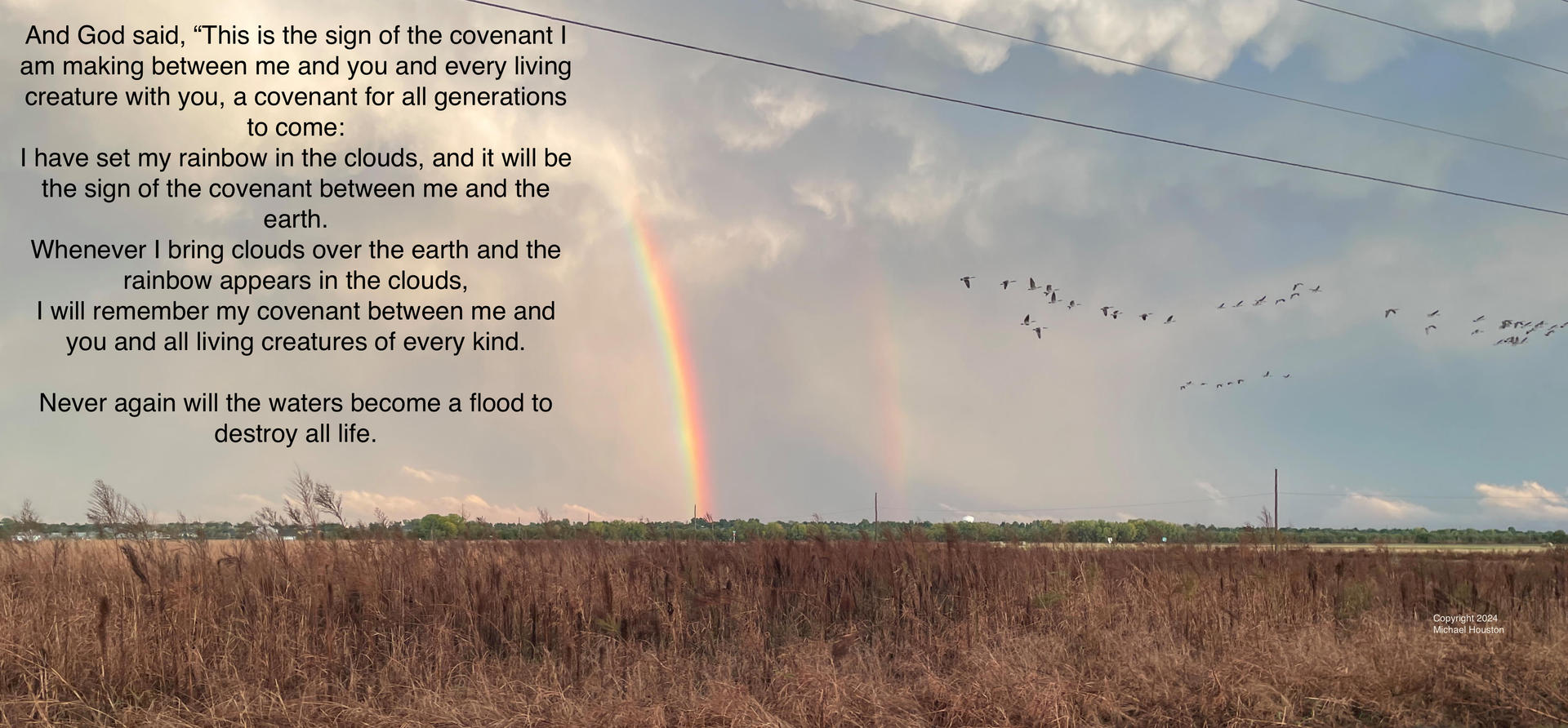 Rainbow-The Real Story.