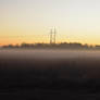 Foggy Morning