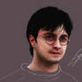 Harry Potter WIP
