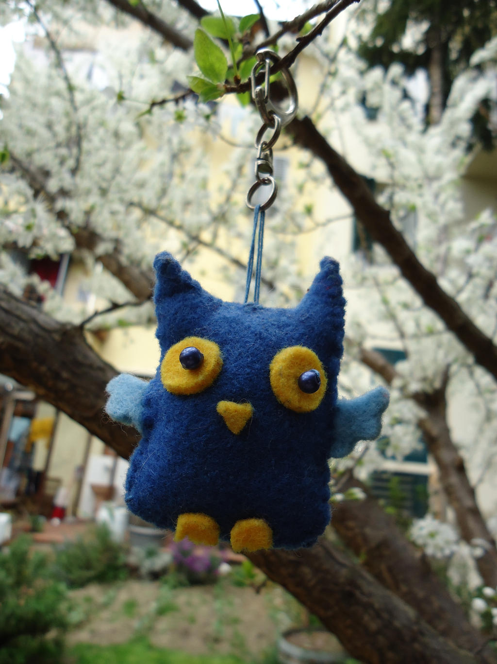 Blue Owl