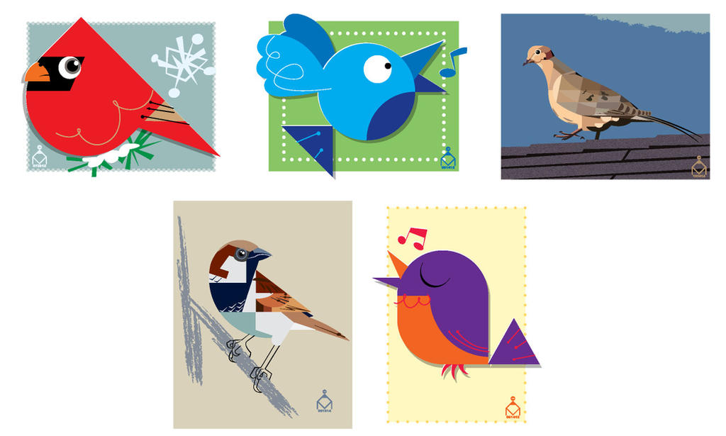 My various bird illustrations so far