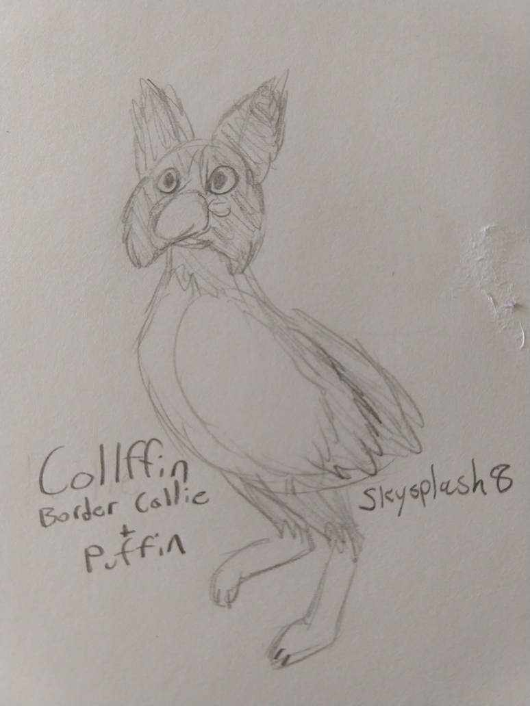 Collffin by Skysplash8