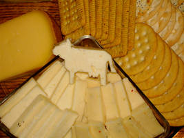 The Havarti Cow