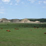 Dinner in North Dakota