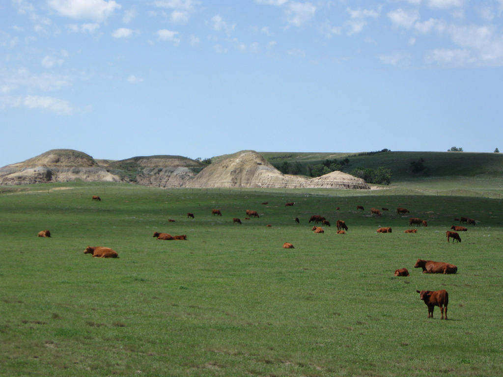 Dinner in North Dakota