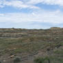 Montana Badlands