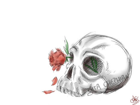 Skulls and Roses