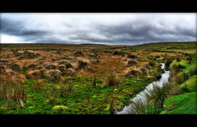 Moorland 02