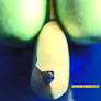 This is not a concpet