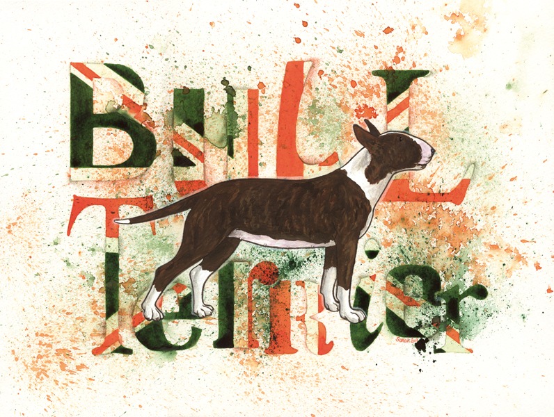 Brindle Bull Terrier