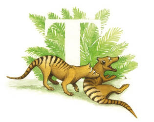 Lost Thylacine by saraquarelle